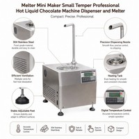 Mini-machine à chocolat chaud professionnelle, petite, pour la fonte et la distribution de chocolat liquide