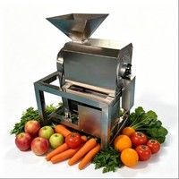Industriële fruitverwerkingsinstallaties automatische tomaten- en mangopureermachine met enkele/dubbele kanaal fruitpulper