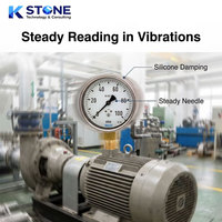 Manomètre polyvalent résistant aux vibrations de 100 Mbar, interface en laiton, robuste, double échelle en Mpa, analogique, garantie 1 an