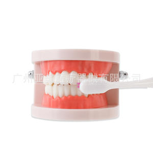 Modelo de Enseñanza de Cepillado de Dientes para Jardín de Infancia con Caja de Empaque, Kit de Demostración Educativa - Product Image 1