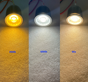 Módulo LED Benory 24v Dual White Mr16 Cob Spot Compatible con PWM DALI KNX DMX Loxone <span class=keywords><strong>Homematic</strong></span> Dresden Electronics CRI95 Blanco Ajustable - Product Image 2