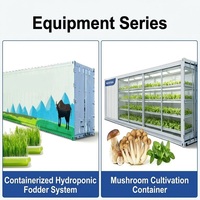 Ferme hydroponique en conteneur de 40 pieds, automatisée par PLC, à commande climatique, clé en main, pour la production de fourrage et de champignons