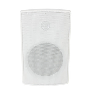 Haut-parleur mural V de 5 pouces avec tweeter dédié pour la musique d'ambiance dans les restaurants, haut-parleur mural clair - Product Image 1