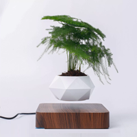 Beau Pot de Plante en Lévitation Magnétique pour Plantes Pot de Fleur Flottant Rotatif Lévitation Bonsaï En Pot Femmes Cadeaux Décor À La Maison