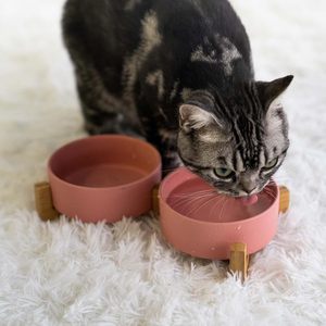 Gamelle pour animaux de compagnie (chats et chiens) tendance, en céramique, avec cadre en bois, multicolore, solide, élégante, écologique, arrondie et étanche, vente en gros du fabricant - Product Image 3