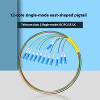 Puente de fibra óptica monomodo de red 3G del fabricante, paquete de 12 núcleos 0,9 con equipo de fibra óptica Pigtail de 12 colores usado