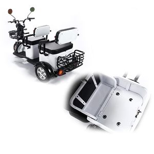 Triciclo Eléctrico de 3 Ruedas con Carrocería Cerrada, Motor sin Escobillas de 600W de Alta Potencia, 48V 20AH, Nuevo Estilo, para Adultos - Product Image 4