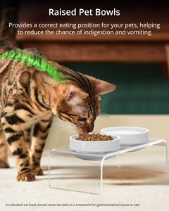 Tilted yükseltilmiş gıda ve su kaseler kedi veya küçük köpekler için standı köpeğin şeffaf akrilik seramik kaplar tutucu - Product Image 5