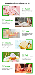 100% huiles essentielles d'<span class=keywords><strong>angélique</strong></span> aux herbes traditionnelles chinoises naturelles pures <span class=keywords><strong>huile</strong></span> en gros pour le soulagement de la douleur et la digestion du corps - Product Image 5