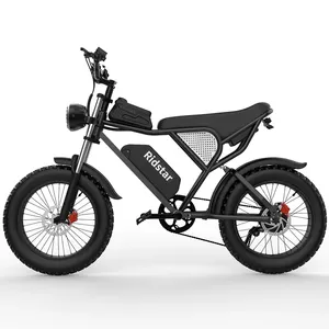 Ridstar 1000W Fat Tire Electric Bike for Adults, UK