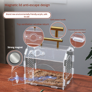 Modernes, umweltfreundliches, durchsichtiges Acryl-<span class=keywords><strong>Terrarium</strong></span> für Springspinnen – ausbruchsicher, atmungsaktiv, mit Fütterungstüren - Product Image 3