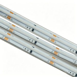DC12V/24V Addressable RGB COB LED <strong>Strip</strong> 576LEDs/m No Dark Spot IP67 Waterproof Smart <strong>Strip</strong> Lights for Outdoor Bar KTV Lighting - Product Image 4