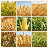 Moissonneuse-batteuse à riz pour la récolte du maïs, des pommes de terre et des feuilles de thé, entraînement par engrenages de tracteur avec moteur et composants essentiels du moteur