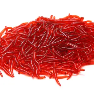 100 قطعة حمراء اللون, لعبة محاكاة الكترونية دودة الدم دودة القاروس البلاستيكية لينة طعم للصيد