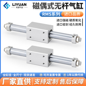 กระบอกลมไร้ก้าน Liyuan รุ่น RMS10 16 20 25 32 40 50 X100 200 500 แบบแม่เหล็กยึดติด ระยะชักยาว ตัวกระบอกทำจากอะลูมิเนียม - Product Image 5