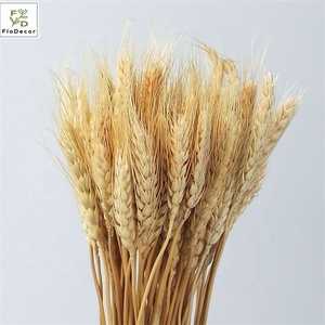 <span class=keywords><strong>Bouquet</strong></span> de blé épi de blé séché artificiel préservé en gros 100 pcs/Lot pour la décoration intérieure pour Noël Saint Valentin - Product Image 4