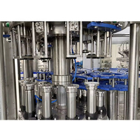 Ligne d'emballage et de remplissage entièrement automatique personnalisée pour vin, alcool, bière artisanale, machine de remplissage de bière