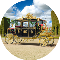 Calèche électrique Marathon à cheval Voyage de luxe Tourisme Mariage Citrouille Cheval Wagon
