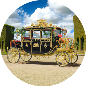 Electric <strong>Horse</strong> <strong>Carriage</strong> <strong>Horse</strong> Marathon <strong>Carriage</strong> Luxury Sightseeing Wedding Pumpkin <strong>Horse</strong> <strong>Wagon</strong> - Product Image 1