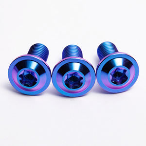 Baut Cakram Paduan <span class=keywords><strong>Titanium</strong></span> BST-TI Dengan Kepala Torx Sekrup dan Baut Motor <span class=keywords><strong>Gr5</strong></span> - Product Image 5
