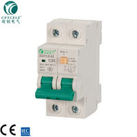 Interruptor Automático Miniatura (MCB) DZ47 C45 Tipo 1P 2P 3P 4P 6kA 230/400V para Riel DIN 6A-63A - ¡Oferta Especial!