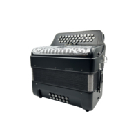 Accordéon diatonique SEASOUND 34 boutons, 12 basses, 3 registres, corps noir mat, grille argentée, boutons argentés, Acordeon JB3412C