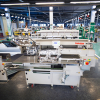 Machine à coudre industrielle automatique, machine à poser les poches TS-199, machine à poser les poches kangourou automatique, grandes tailles, machine à poser les poches kangourou