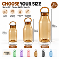 Bouteille d'eau en PC en gros 300ml 500ml 1000ml avec boucle de transport, logo personnalisé pour le bureau et les trajets quotidiens, support OEM ODM