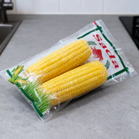Sacs d'emballage alimentaire en plastique transparent thermoscellables de haute qualité YSH, à trois soudures latérales, avec poignée de transport pour une conservation optimale