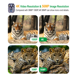 Caméra de <span class=keywords><strong>chasse</strong></span> Boly de haute qualité 56MP 4K avec double flash <span class=keywords><strong>LED</strong></span> blanc <span class=keywords><strong>940nm</strong></span> sans éclat, portée de 100 pieds, capteur CMOS pour photos nocturnes - Product Image 3