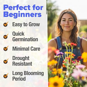 Mélange de graines de fleurs <span class=keywords><strong>sauvages</strong></span> pour <span class=keywords><strong>jardin</strong></span> naturel, en vrac, 23 variétés, graines pures annuelles et vivaces pour la plantation d'automne, sans engrais - Product Image 3