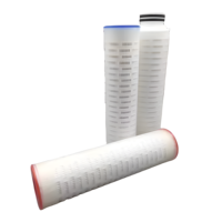 Cartucho de Filtro Plegable de 10 Pulgadas al por Mayor con Filtración de Precisión y Empaque en Caja para Equipos de Tratamiento de Agua