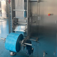 Máquina automática de envasado de líquidos para el cuidado de la salud, máquina de envasado vertical de pulpa de fruta, máquina de llenado de concentrado de jugo