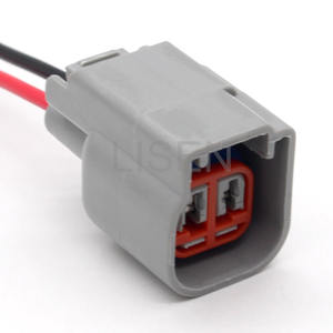 OEM <span class=keywords><strong>2</strong></span>ピンコネクタEPC <span class=keywords><strong>2</strong></span>.8mm燃料インジェクター配線ハーネスフォードE-5069 - Product Image 2