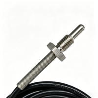 Industrial PT100 PT1000 Fixed Thread Platinum Thermometer Black PVC Cable Certified Quality RTD Economical Solution
