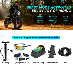 Fabricante Directo de Bicicletas Eléctricas ODM OEM, Motor Trasero de 4000W, 7 Velocidades, Batería de Litio - Product Image 6