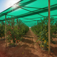 Zwaarwegend rechthoekig geweven HDPE schaduwnet met 70%-90% schaduwgraad, UV-bestendig voor kas, tuin en boomgaard