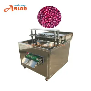 High efficiency cherry core removing machine best price date olives pitting machine