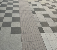 Indicadores Táctiles de Granito Natural G603 de Alta Resistencia - Baldosas de Piedra Resistentes a la Intemperie para Pavimentación de Aceras Municipales
