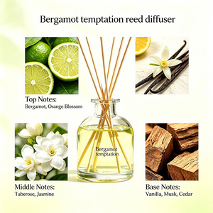 Difusor de Aromas Bergamot <span class=keywords><strong>Temptation</strong></span> al por Mayor, Botella de Vidrio Transparente, Aromatizante Duradero para el Hogar, Ambientador para Dormitorio y Baño - Product Image 2
