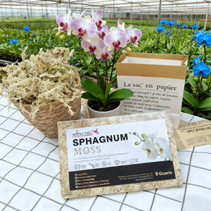 Mousse de sphagne en vrac, marque MUSCHIO, à vendre et pour les fabricants <span class=keywords><strong>d</strong></span>'articles <span class=keywords><strong>d</strong></span>écoratifs, vente en gros personnalisée, fournitures pour jardins botaniques - Product Image 1
