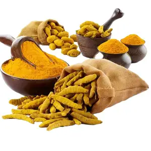 Turmeric Root Extract Curcumin Powder Feed Grade 5%-10% Curcumin