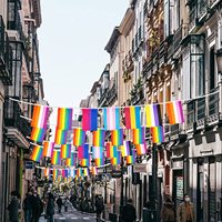 Vente en gros de nouveaux drapeaux arc-en-ciel pour la fierté gay, lesbienne, pansexuelle et bisexuelle, drapeau en guirlande, drapeau LGBTQ élaboré, décoration