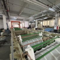 Équipement de galvanisation certifié CE, ligne d'électrolyse automatique pour métaux, machine d'électrolyse au zinc, équipement d'anodisation