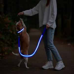 Nouvelle arrivée colares led para perros vente en gros éclairé nuit de marche lumineux USB Rechargeable Led laisse pour chien