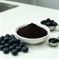 Fabrieksgroothandel Bulk Gedroogd Blauwe Bosbessenpoeder Hoge Kwaliteit Gedroogd Blauwe Bosbessen Sap Poeder