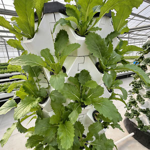 Système d'aéroponie vertical Skyplant Hydroponic Tower, système complet de culture hydroponique en tour pour débutants - Product Image 3