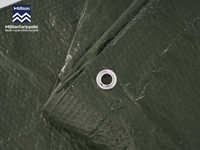 Bâche en PE de 120 g/m² de couleur verte, fabriquée en Chine, format fini, par le fabricant Million Pe Tarpaulin
