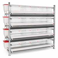 Cage à poules de type H pour équipement d'élevage avicole avec système de batterie multi-niveaux, alimentation automatique et collecte des œufs