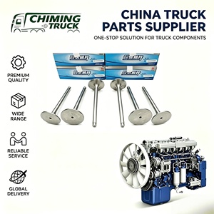 Soupape d'admission du moteur Weichai WP10/WD618/WD12/WD13 612600050073 compatible avec le groupe de camions lourds Shaanxi - Product Image 1